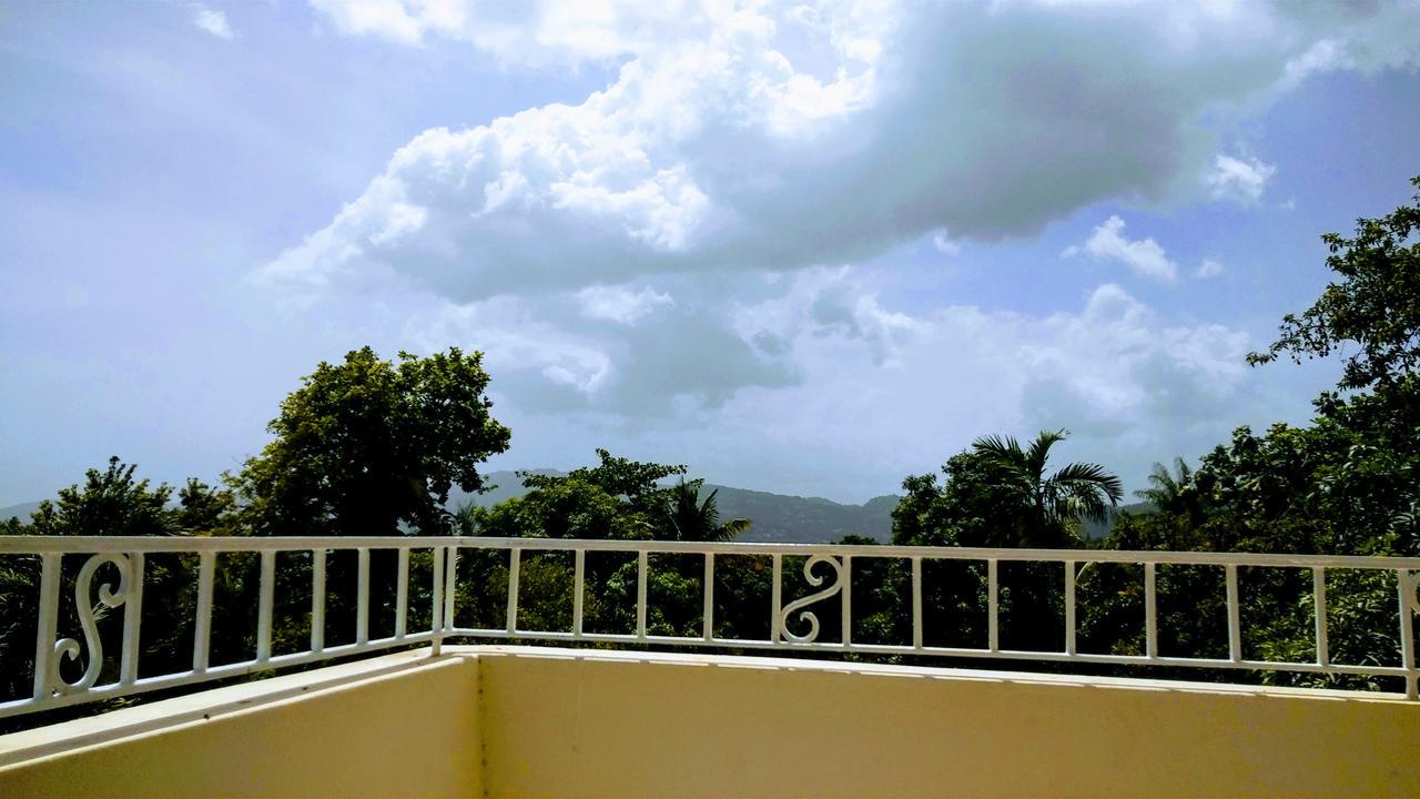 Готель Jacks Hill Tropical Arcadia Кінгстон Екстер'єр фото