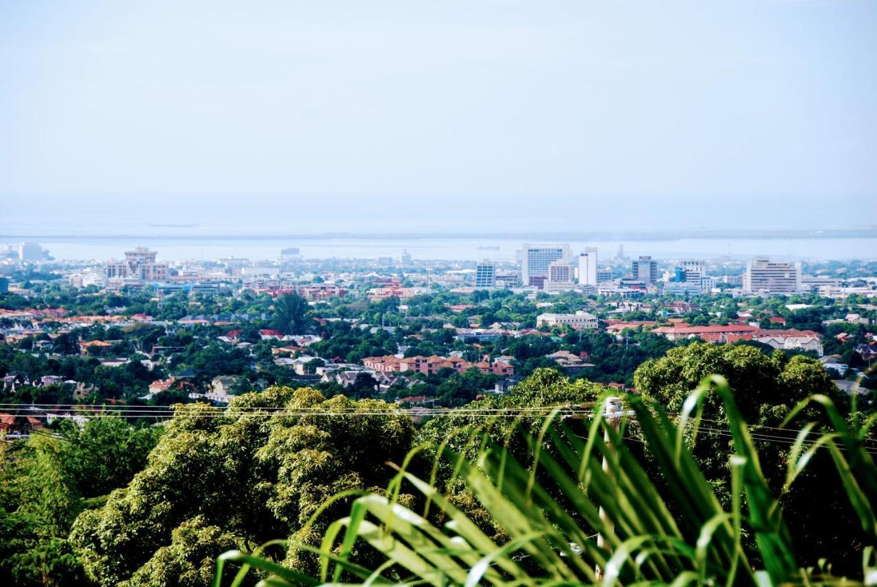 Готель Jacks Hill Tropical Arcadia Кінгстон Екстер'єр фото